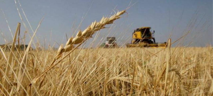 Hrvatska poljoprivreda u problemu zbog smanjenja budžeta EU
