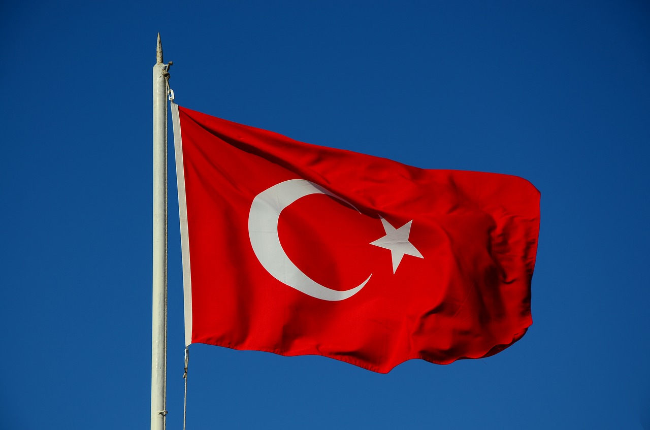 Turska ne planira zaduženje kod MMF-a
