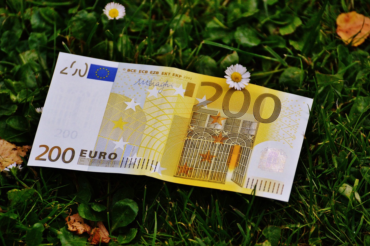 Osnovni dohodak: Koliko bi CG trebalo novca da svakom punoljetnom građaninu daje po 200 eura mjesečno