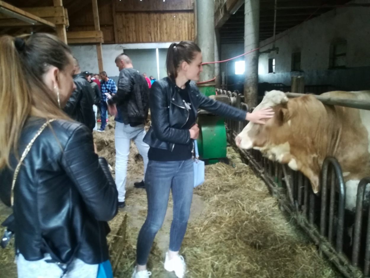 Mladi farmeri posjetili Sloveniju i vidjeli kako se (tamo) može živjeti od poljoprivrede