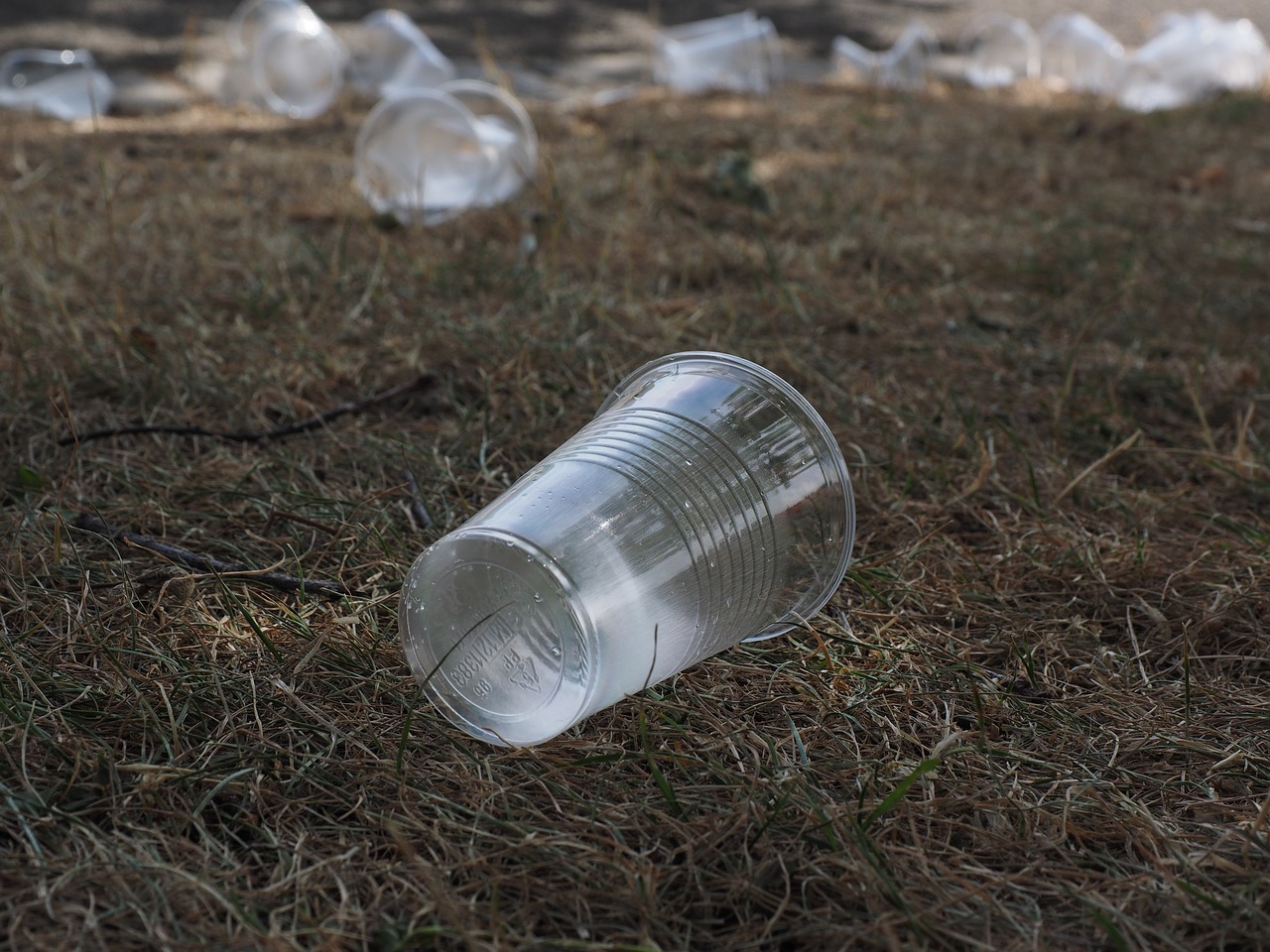 Crna Gora će zabraniti upotrebu plastičnog pribora za jelo, posuda za čuvanje hrane i čaše