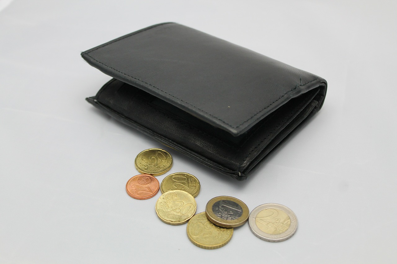 Kako do sklada: Minimalne plate u EU od 286 eura u Bugarskoj do 1.557 eura u Njemačkoj