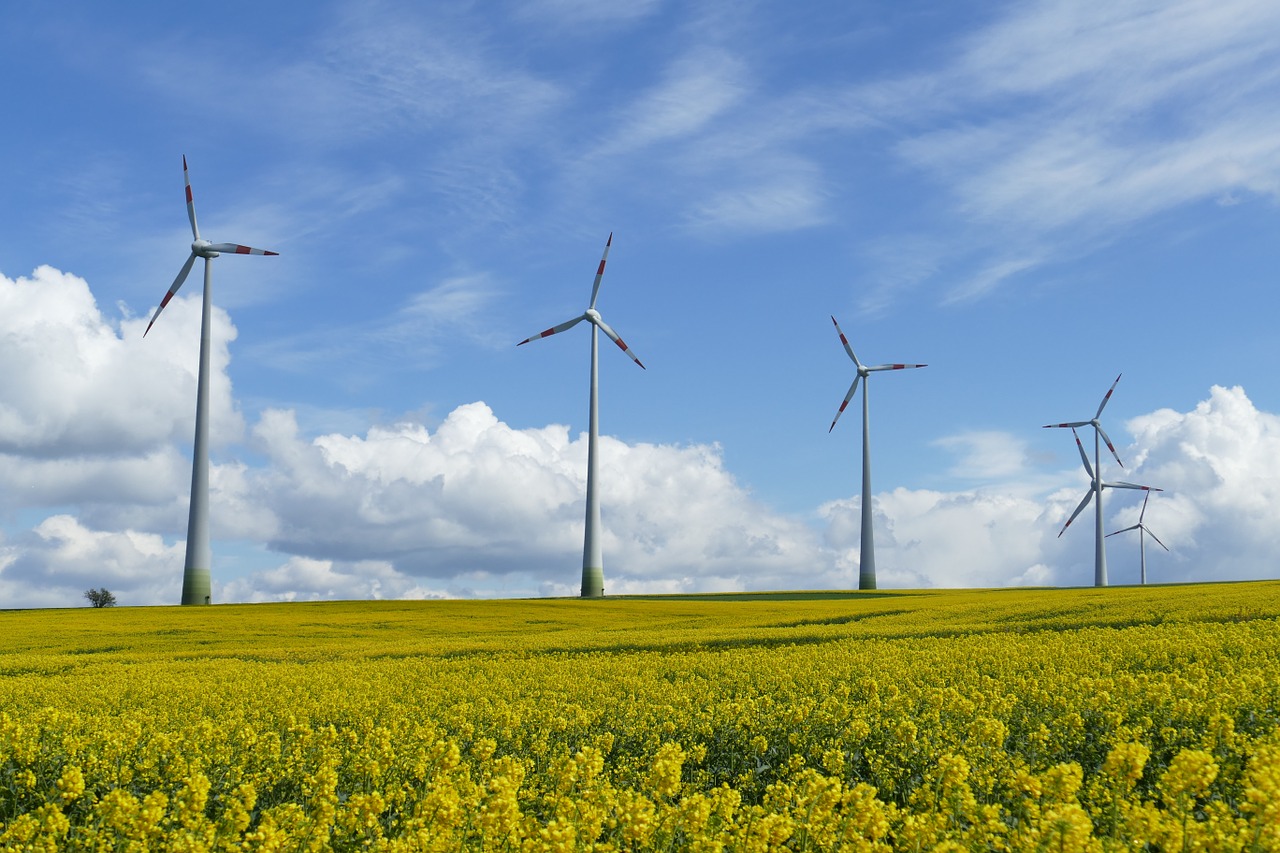 Vjetroelektrana Brajići: Ugovor do kraja godine, početak gradnje na ljeto 2020.