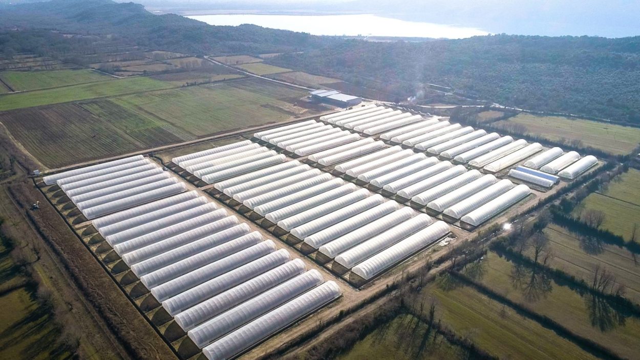 “Naša bašta”: VOLI u poljoprivrednu proizvodnju uložio 2,38 miliona eura