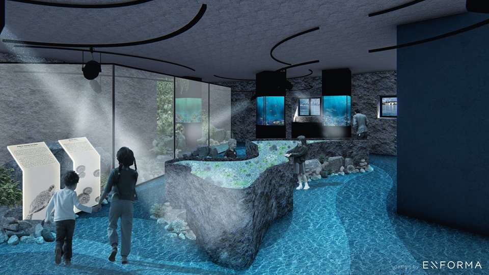 Prvi akvarijum u Crnoj Gori otvoriće vrata posjetiocima 20. septembra?