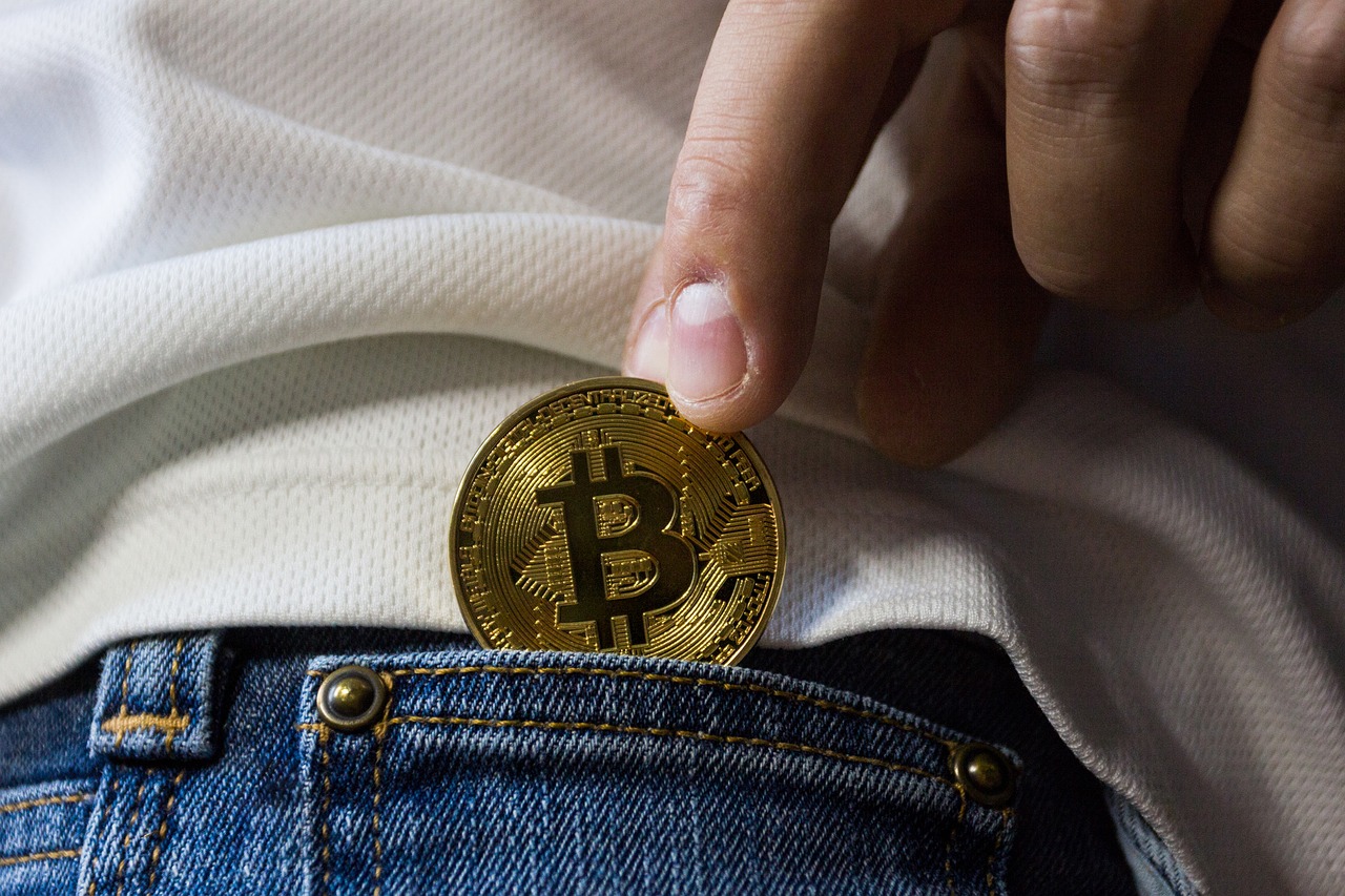 Prva država u kojoj je bitcoin postao zvanično sredstvo plaćanja