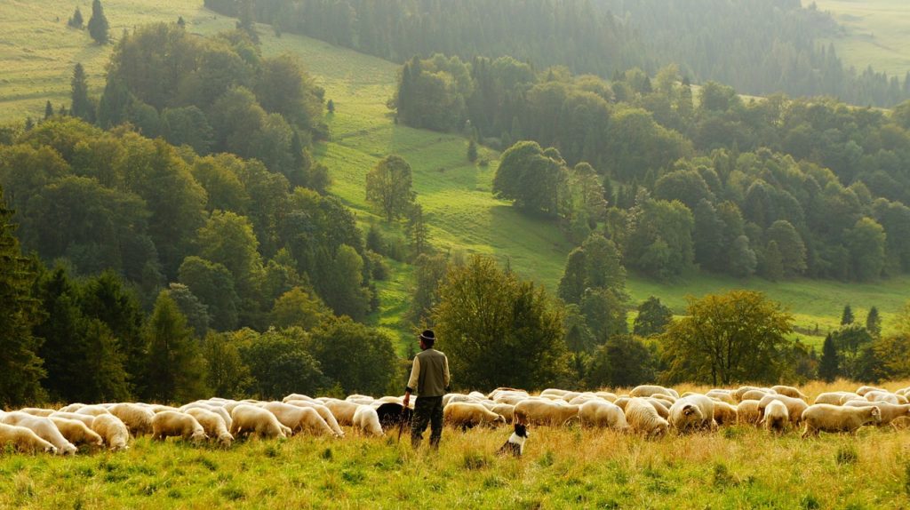 farmer