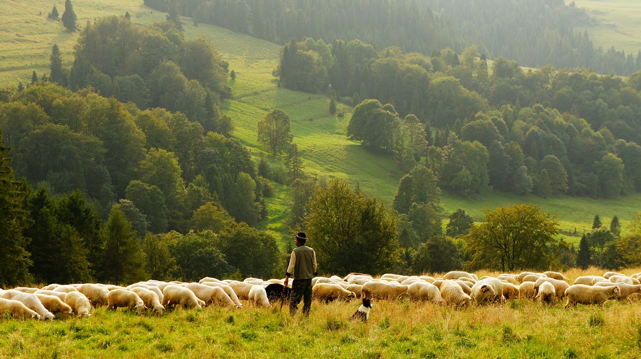 Belgijski farmer slučajno pomjerio granicu sa Francuskom