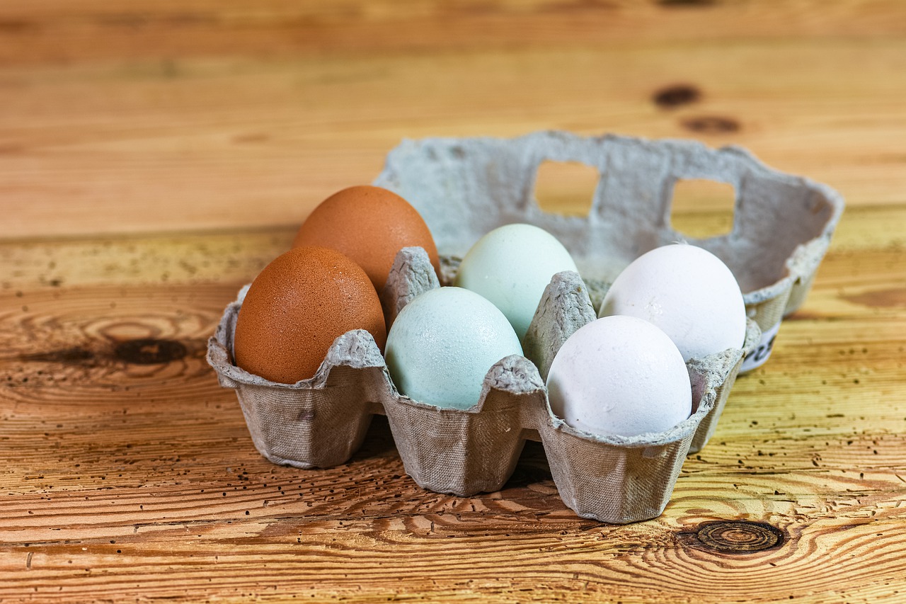 Vrelina ubila više od 200.000 kokošaka u Martinićima, slijedi li poremećaj na tržištu jaja?
