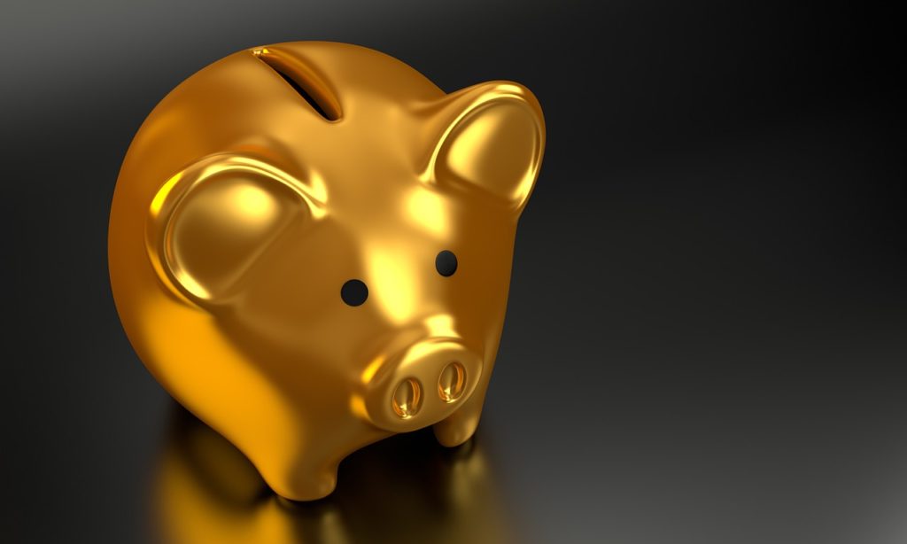 gold, golden, pig, savings