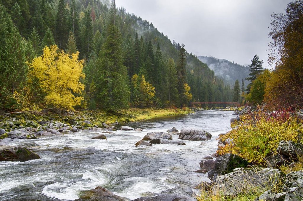 Nature, river