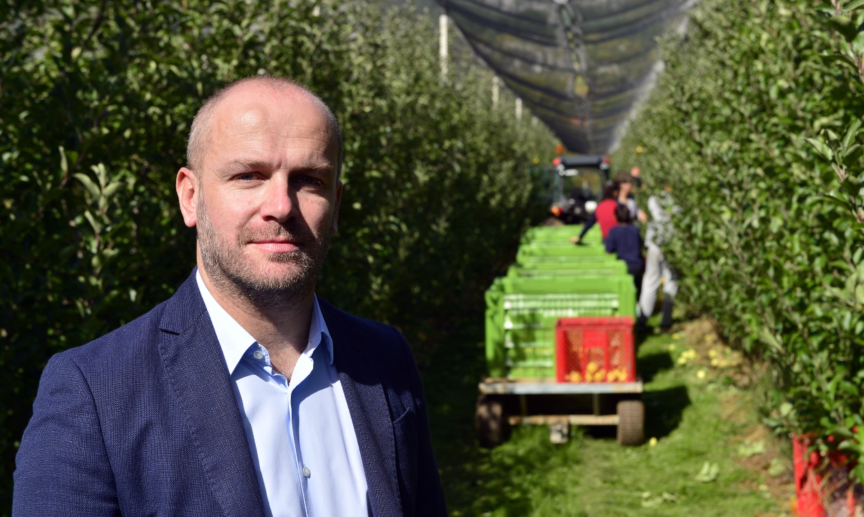 Uz podršku IRF-a: Najveća crnogorska plantaža jabuka nalazi se u nikšićkoj Župi