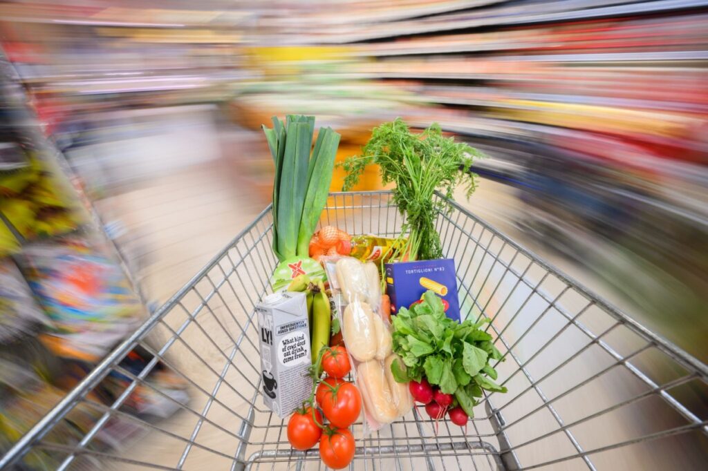 cart, shopping, prodavnica, inflacija, korpa, potrošači, food, hrana, cijene, costs, troškovi