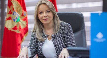 Bogata biografija, zavidno međunarodno iskustvo: Ko je Irena Radović, nova guvernerka CBCG?