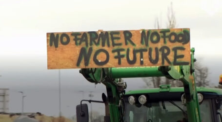 Koliko bi protesti farmera mogli da koštaju evropsku ekonomiju?