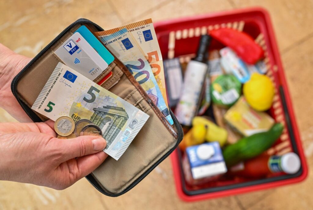 shopping, prodavnica, supermarket, money, euro, wages, salary, wallet, inflation, prices, food, cart, groceries