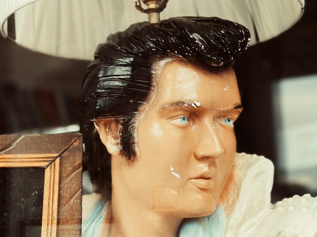 Elvis Presley, Elvis Prisli