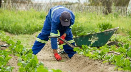 Farmer Milić iz Tuzi upozorava: Bojkot trgovinskih lanaca je direktno uništavanje crnogorske poljoprivrede