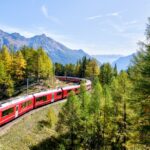 train, mountain, tourism, travel, nature, forest