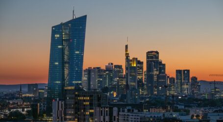 ECB strahuje od „digitalne dolarizacije”