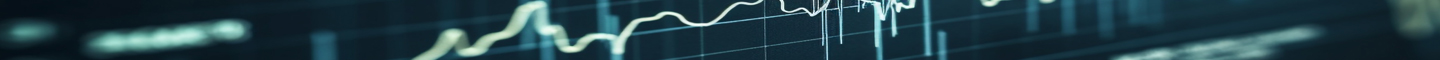 TOP baner INVESTITOR
