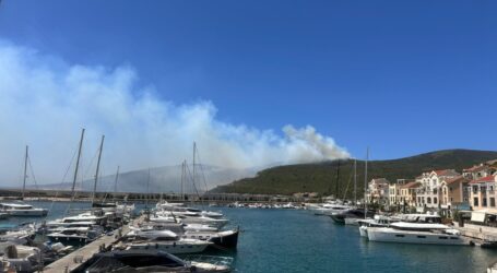 Luštica Development donirala 10.000 eura i ponudila pomoć na terenu