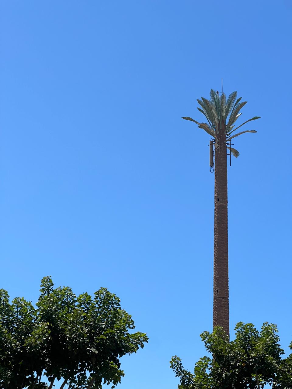 Marassi resort Egipat