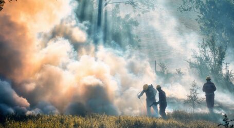 Zaposleni u Monteputu, Aerodromima i željeznici pomažu u gašenju požara širom Crne Gore