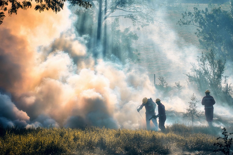 požar, wildfire, firemen, fireman, vatrogasci