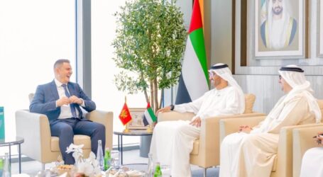 Arapski investitori žele da ulažu u crnogorsku energetiku