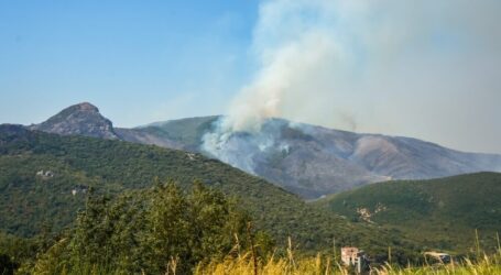Coca-Cola HBC Srbija i Crna Gora pruža podršku zajednicama pogođenim požarima – donacija od gotovo 50.000 litara proizvoda