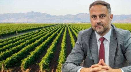 Profit Plantaža tri miliona eura, podignuta 62 hektara novih vinograda