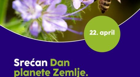 Dan planete Zemlje: Kako globalni principi stvaraju lokalne promjene