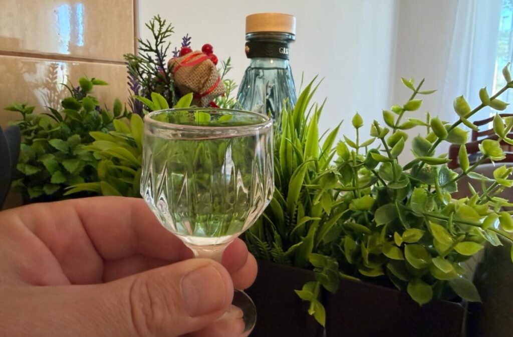 rakija, brandy, shot, piće, alkoholno piće