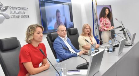 Crnogorski ICT sektor raste uprkos manjem broju kompanija: Dobit gotovo udvostručena