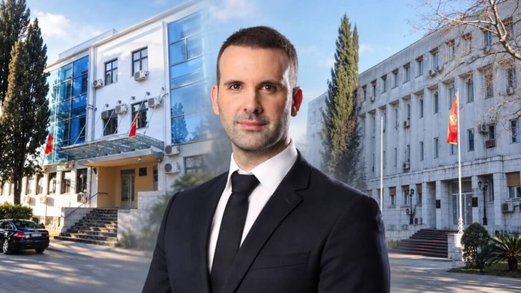 Milojko SPajić, Ministarstvo finansija, Fond PIO