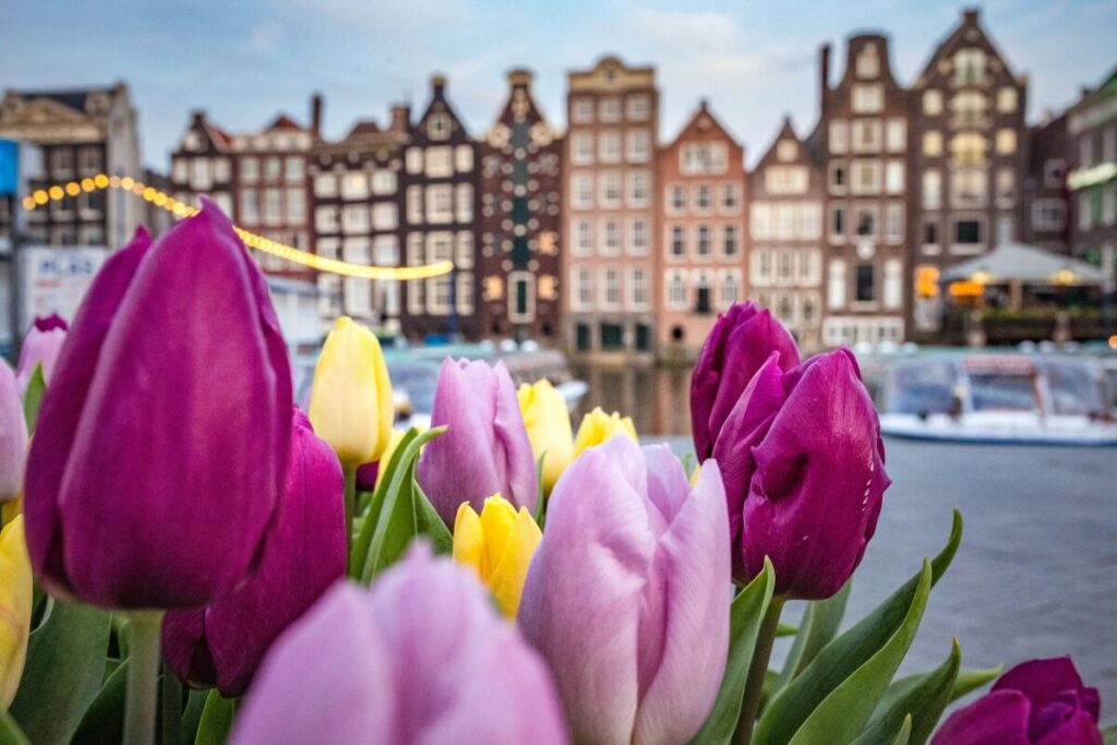 amsterdam, netherlands, holland, holandija, nizozemska