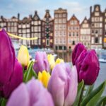 amsterdam, netherlands, holland, holandija, nizozemska